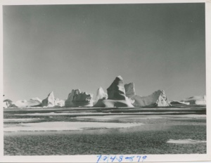 Image: Icebergs at Cape York